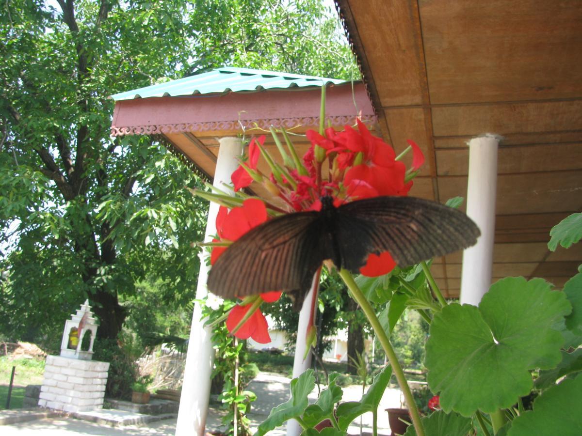 Tatva Bir Tents And Hotel Kangar Ngoại thất bức ảnh